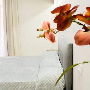 Amnis Rooms